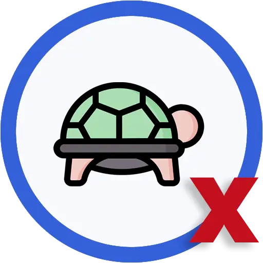 Illustration of turtle